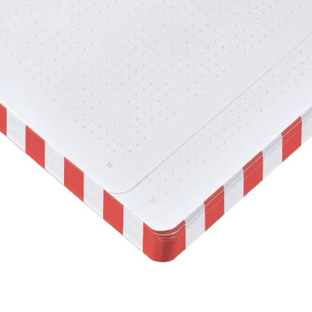 Nuuna Notizbuch Graphic L Fancy Fans