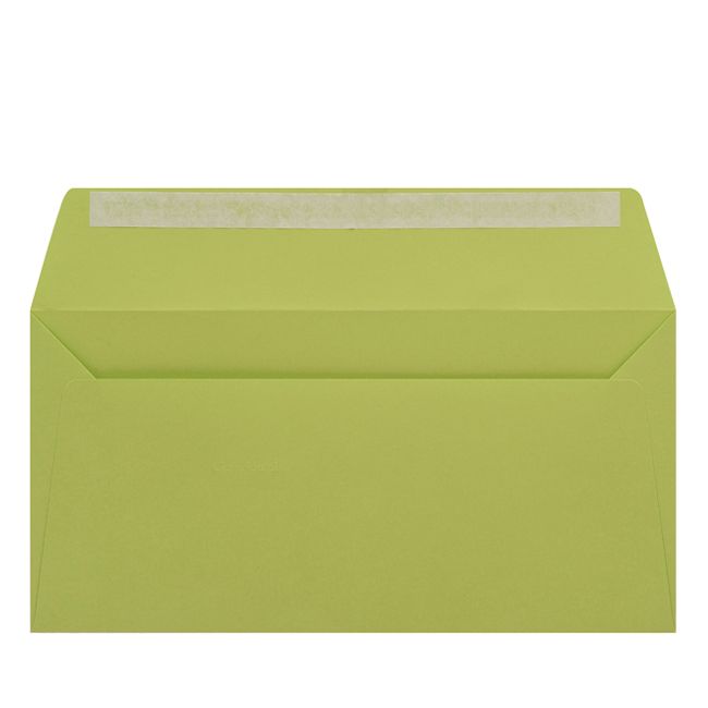 Clairefontaine Kuverts knospengrün