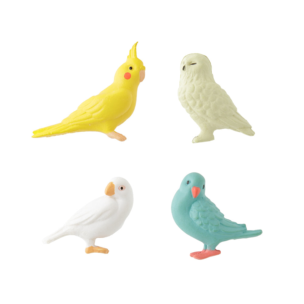 Midori Minimagnete Vögel