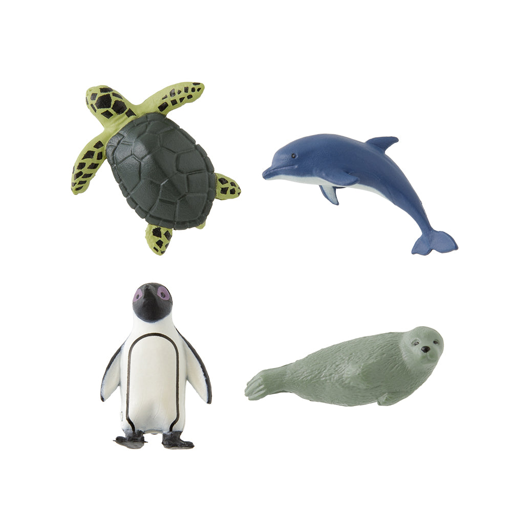 Midori Minimagnete Aquarium