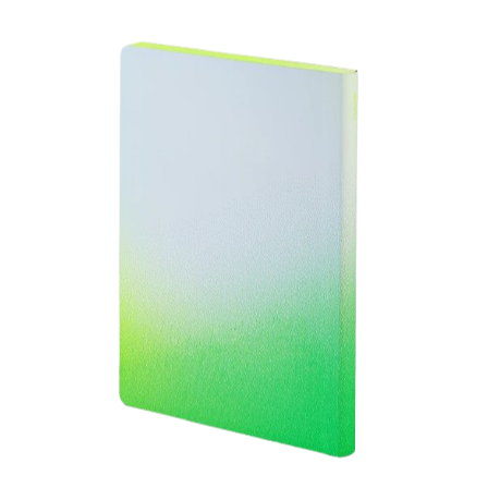 Nuuna Notizbuch L Light Colour Clash Fresh